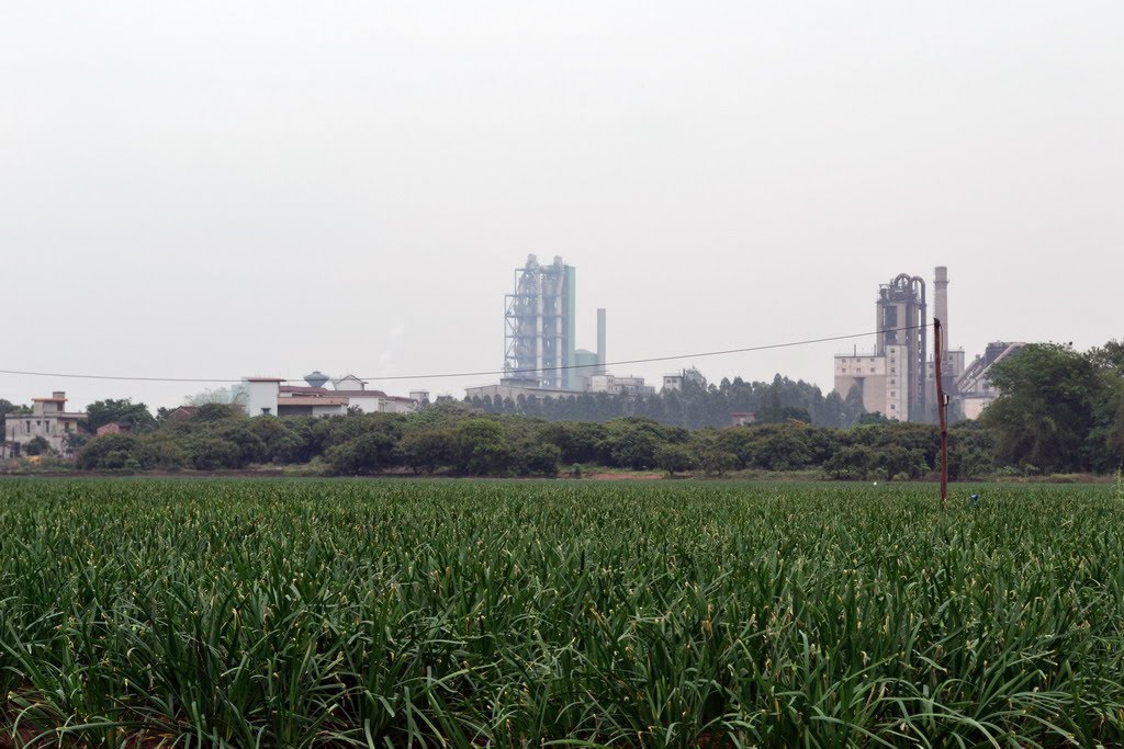 紅峰村(貴州省修文縣龍場鎮紅蜂村)