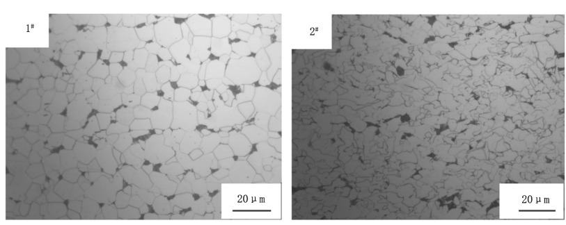 圖1 1#和2#鋼樣金相組織