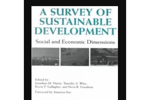 A Survey of Sustainable Development