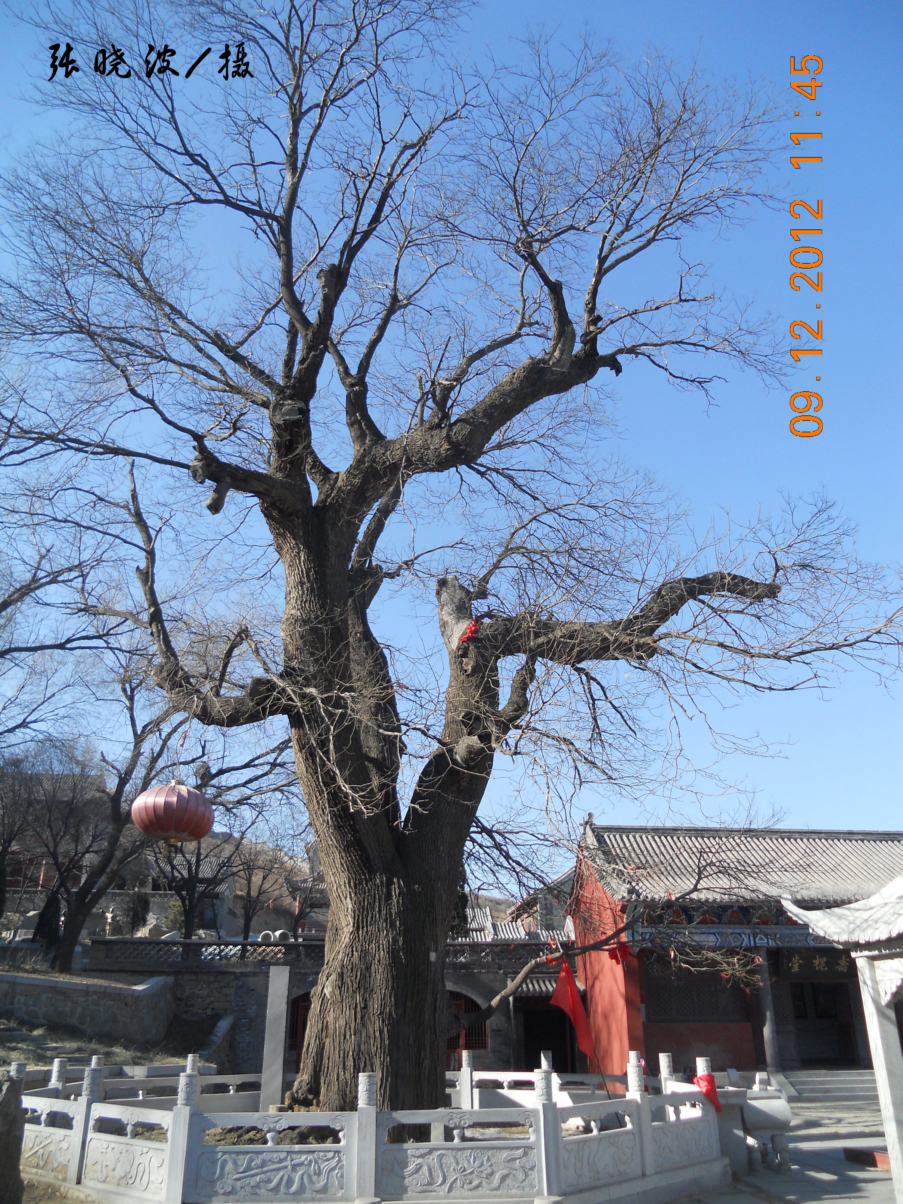 封龍山(石家莊歷史文化名山)