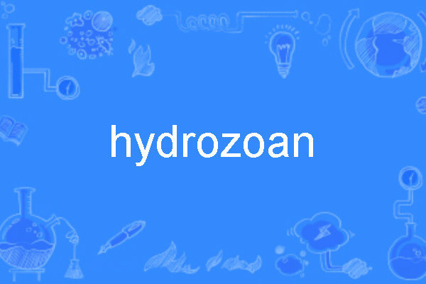 hydrozoan