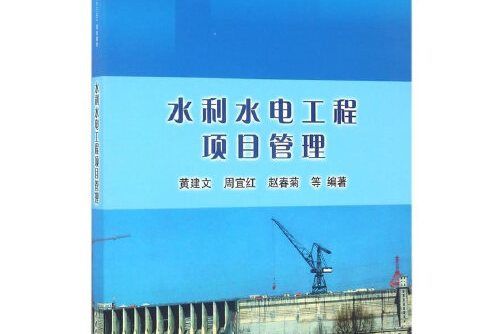 水利水電工程項目管理(2017年水利水電出版社出版的圖書)