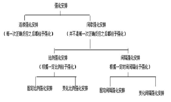 強化安排