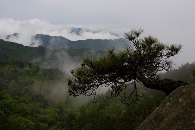 浠水三角山