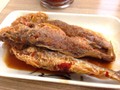 小黃魚