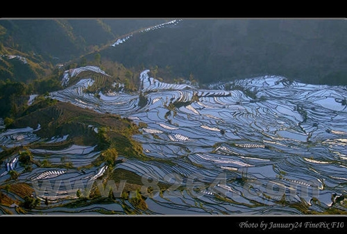 東川鎮