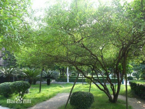 廈門東溪公園