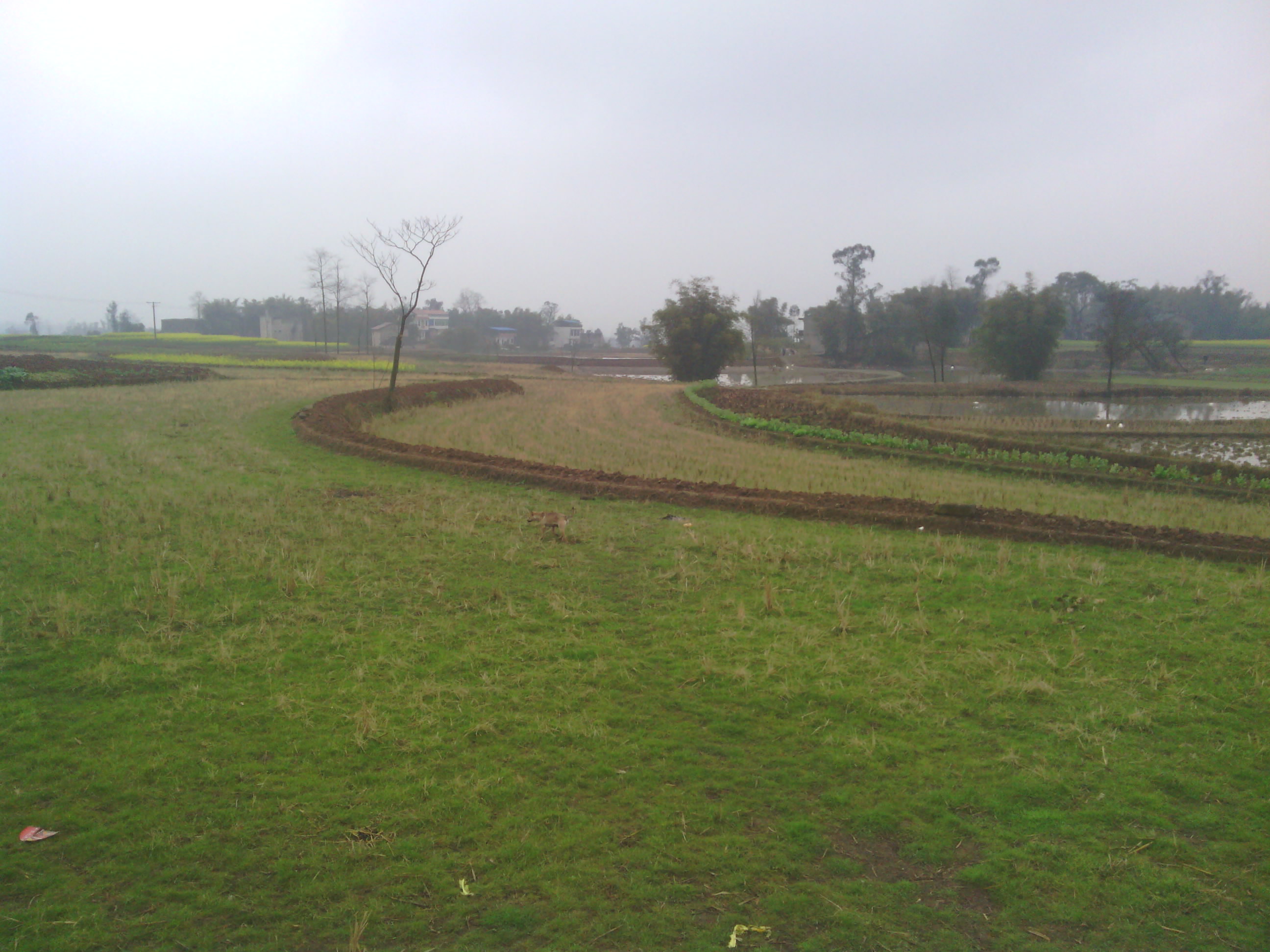 白塔寺村(重慶市合川區香龍鎮白塔寺村)