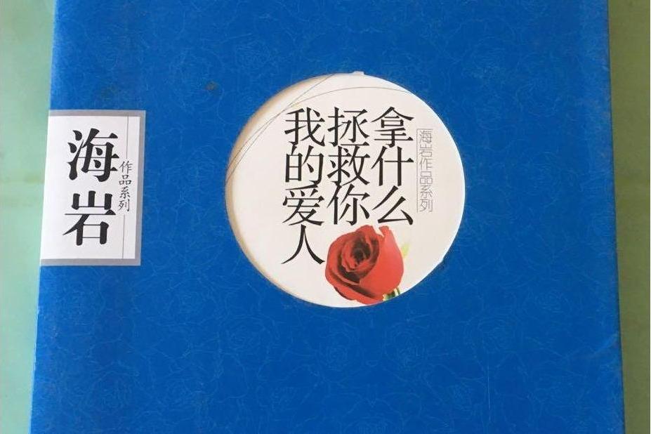 拿什麼拯救你我的愛人(2008年中國工人出版社出版的圖書)