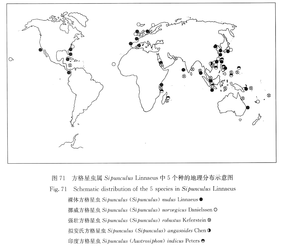 分布示意圖