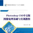 Photoshop CS5中文版圖像處理基礎與實訓教程（高職）