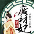 至尊廢材妃(雲初九著網路小說)