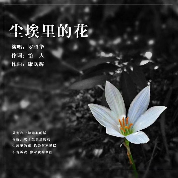 塵埃里的花(羅昭華演唱歌曲)