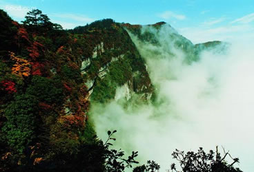 低碳旅遊景點