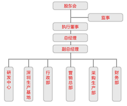 紅寶石雷射公司組織結構