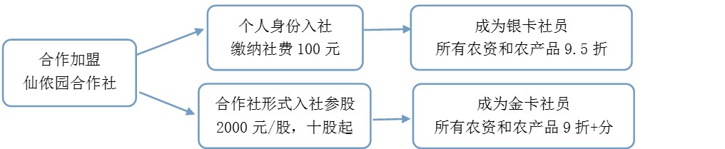 仙儂網