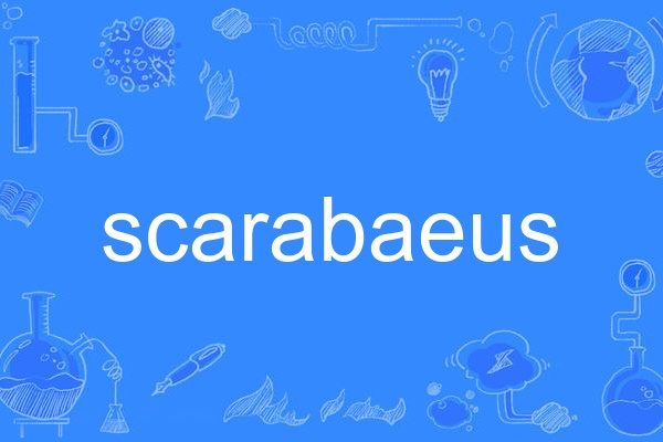 scarabaeus