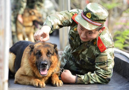 特種警犬