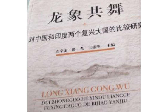 龍象共舞(2007年上海社會科學院出版社出版的圖書)