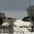 雪後料草溝