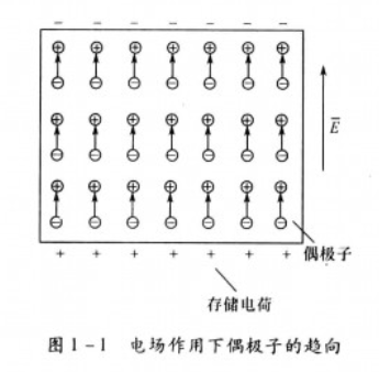 順電性