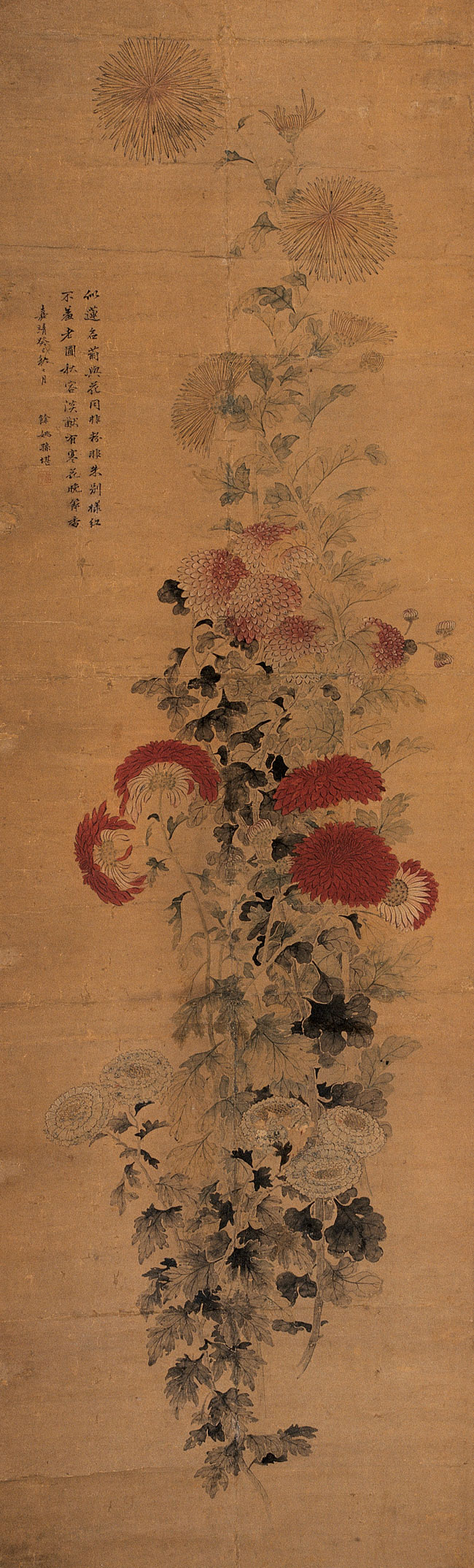 孫堪繪《菊花圖》