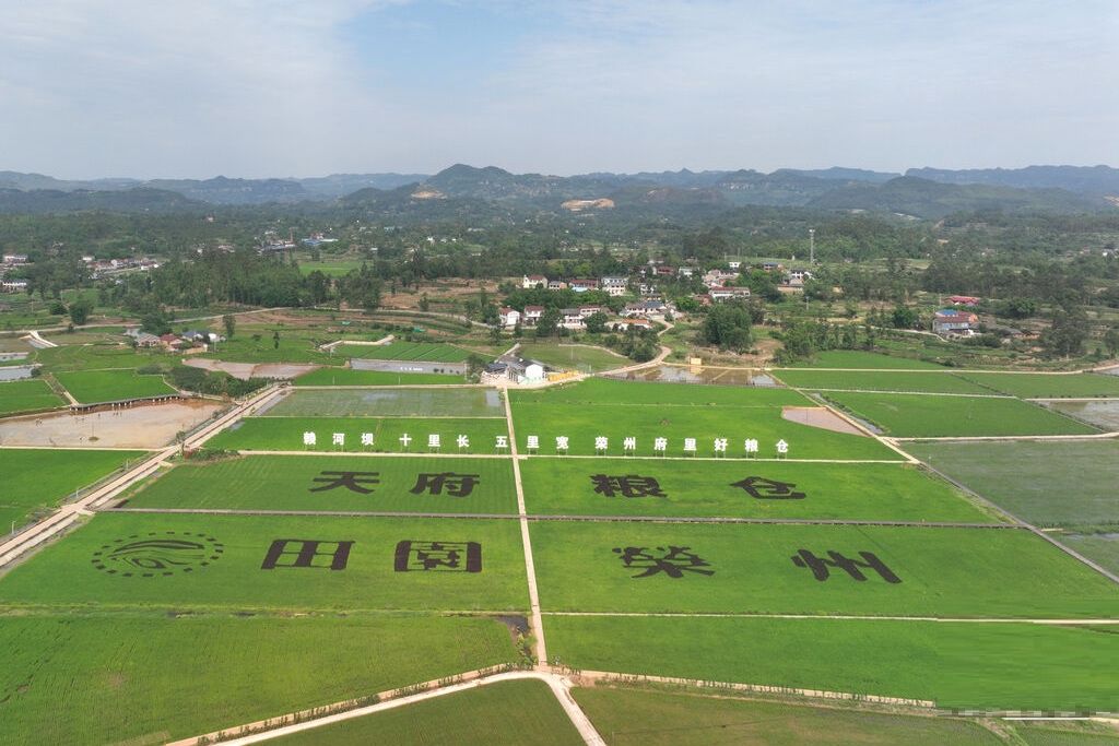 榮縣賴河壩糧油（稻漁）現代農業園區