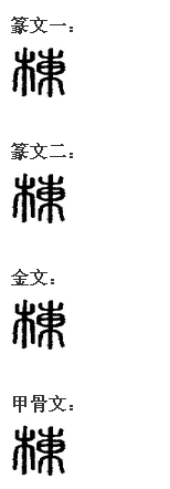 篆文“棟”字