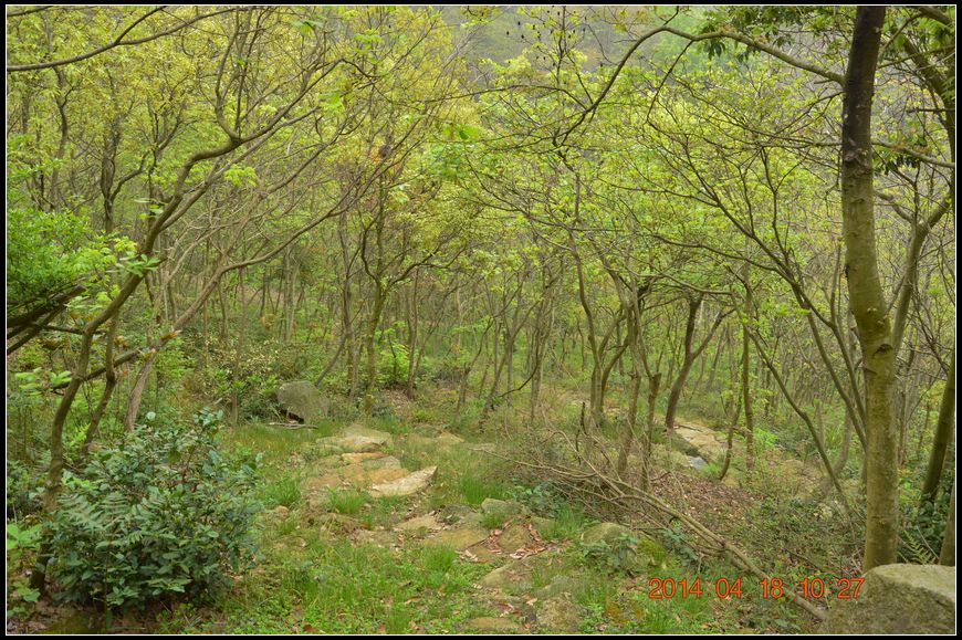 日頭山森林步道