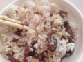 台灣滷肉飯