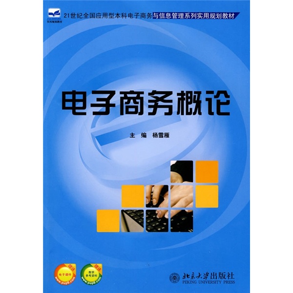 21世紀全國套用型本科電子商務與信息管理系列實用規劃教材：電子商務概論