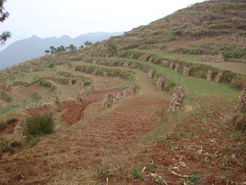 安小坪子自然村