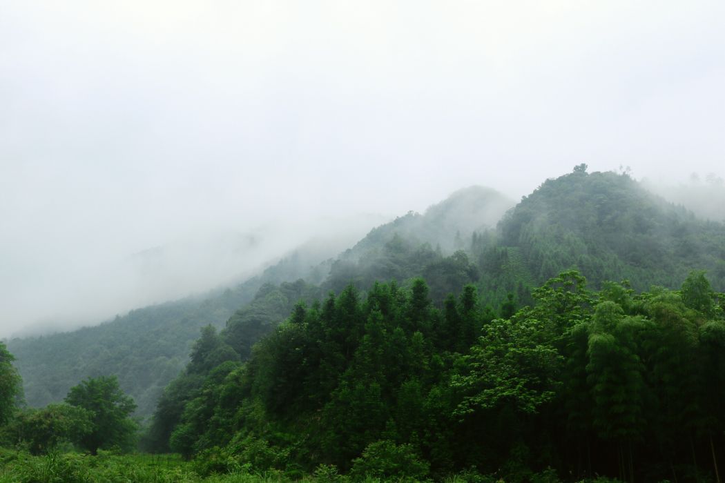 新棚村(安徽石台縣七都鎮下轄村)