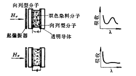 賓主效應