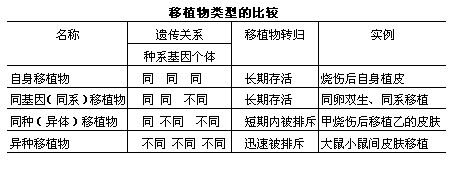 移植物的類型