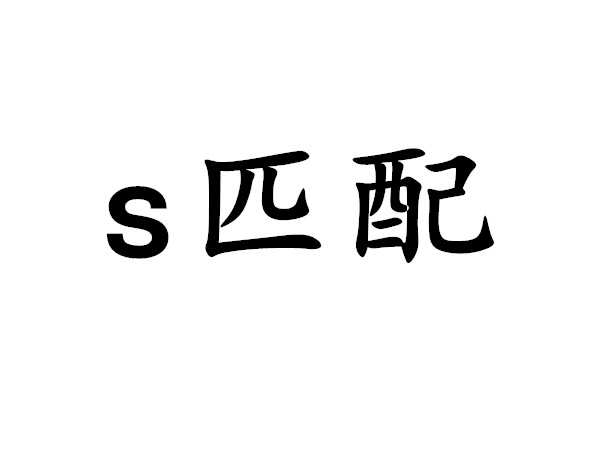 s匹配