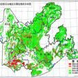 區域地質調查報告