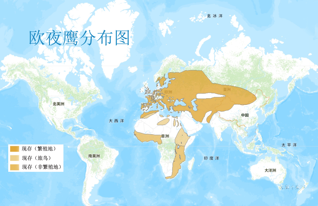 歐夜鷹分布圖