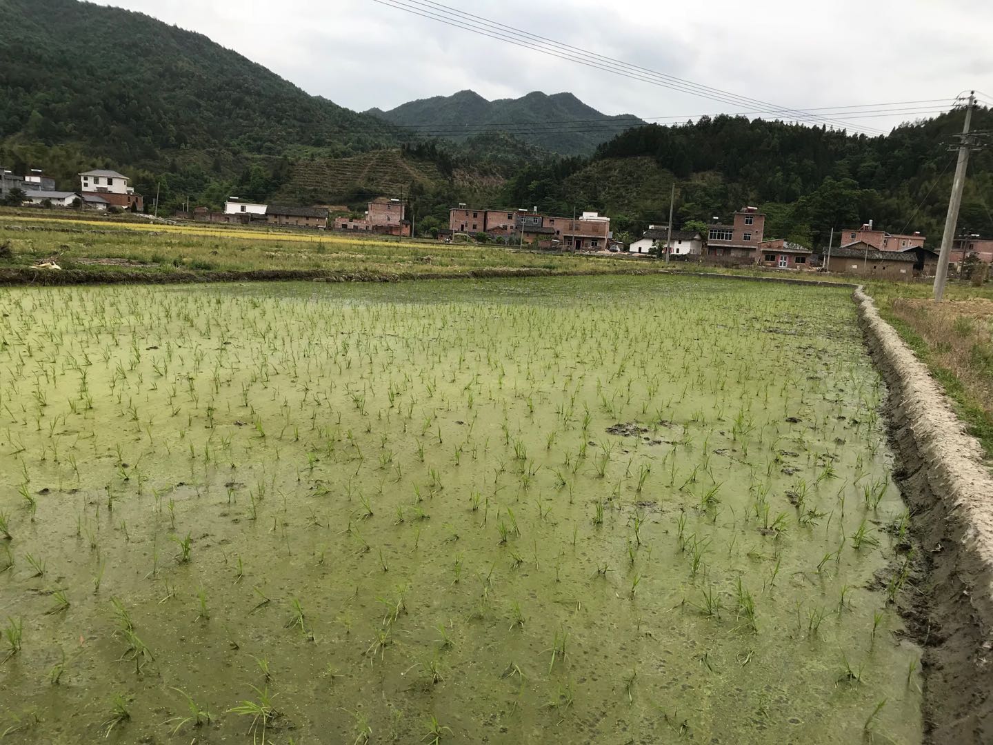 石牛湖村