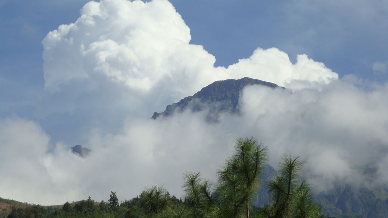 白雲籠罩下的山頂