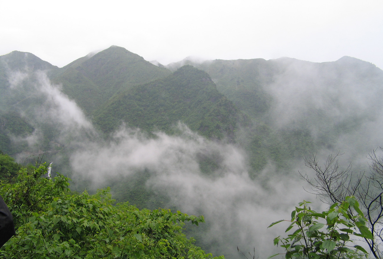 天目山風光