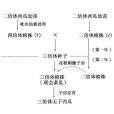 染色體變異說