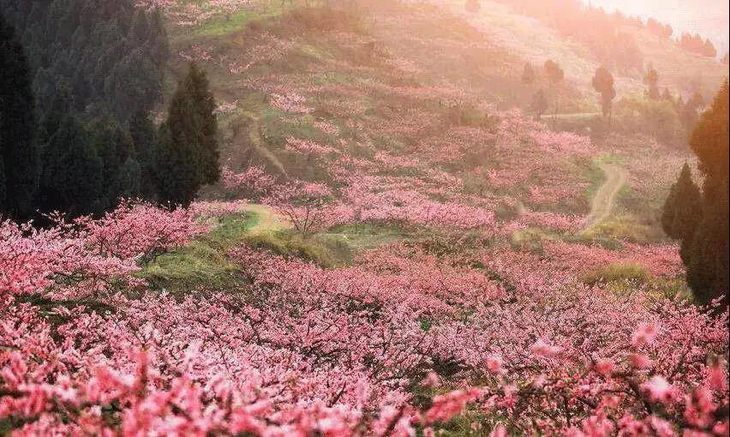 桃花島(山東省沂源縣島嶼)