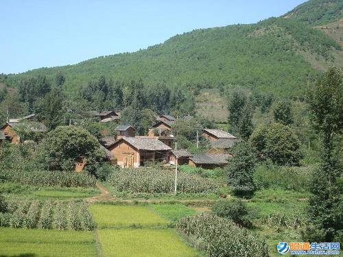 樂居鄉新河村