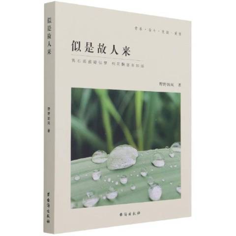 似是故人來(2021年台海出版社出版的圖書)