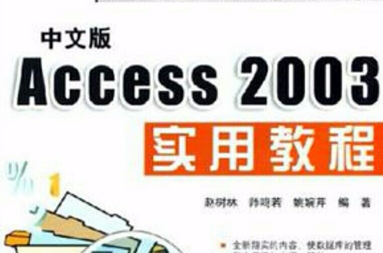 中文版Access 2003實用教程