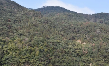 浙江南山湖國家森林公園