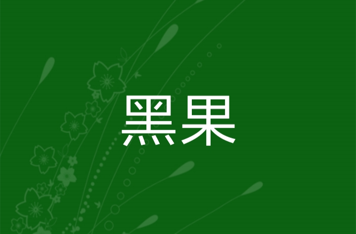 黑果(網路小說)