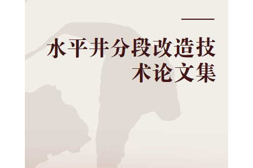 水平井分段改造技術論文集