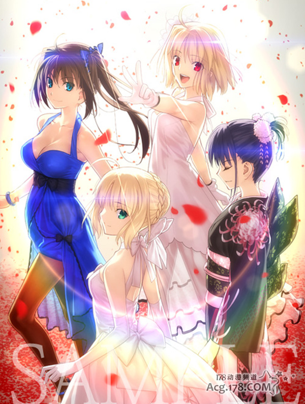 TYPE-MOON Fes.